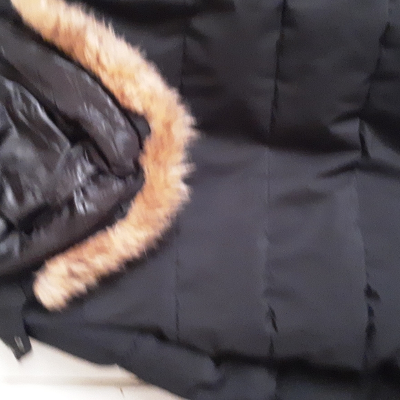 Jacket - Picture 4 of 5